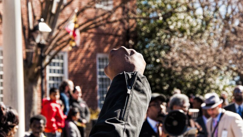 fist raised at a march