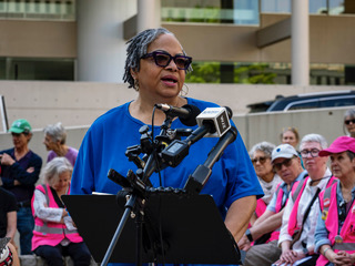 Dana Vickers Shelley speaking at courthouse rally
