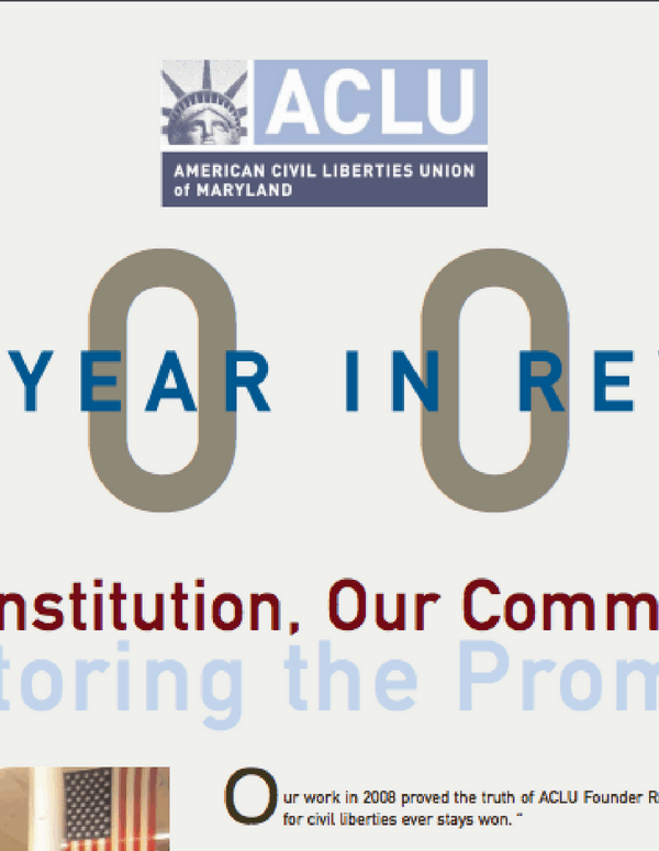 2008 annual report