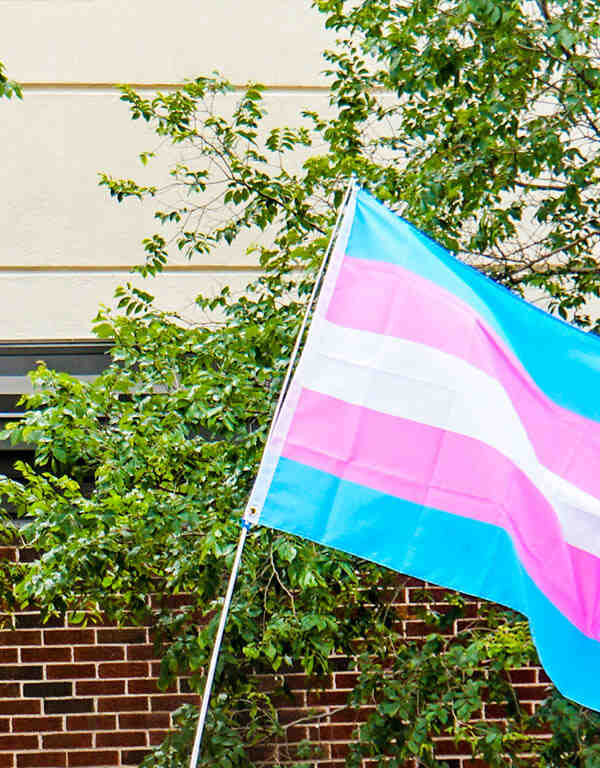 Transgender flag