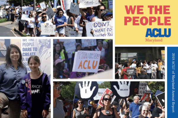 We the People - 2018 Annual Report
