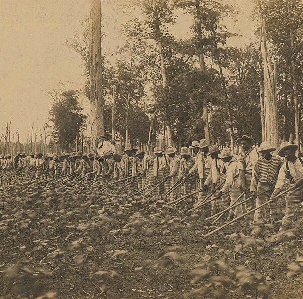Parchman Prison labor done by people who are incarcerated in 1911.