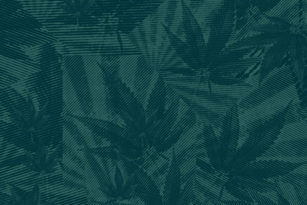 Collage of marijuana leaves and an abstract background. There is a dark green filter layer over all of the leaves.