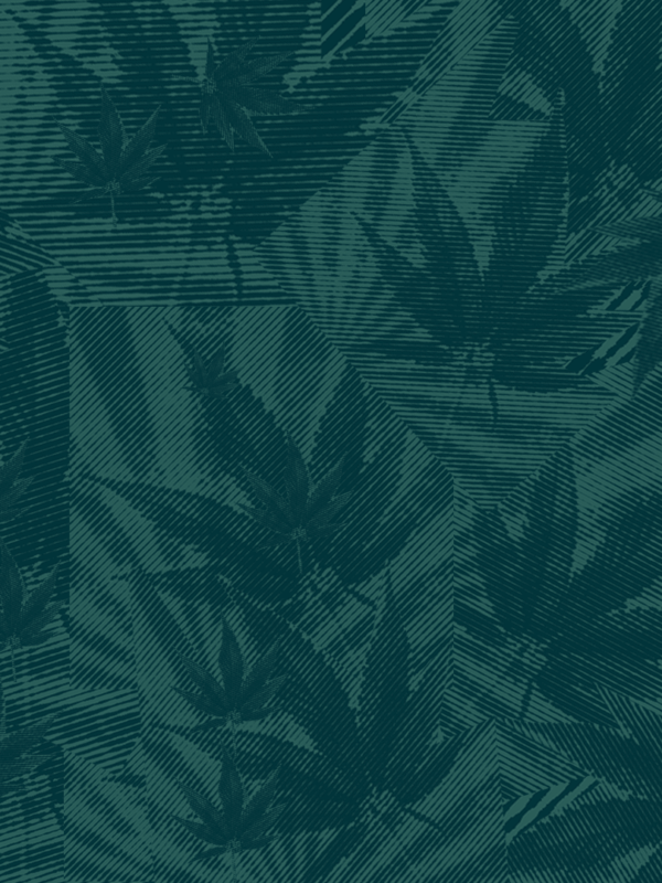 Collage of marijuana leaves and an abstract background. There is a dark green filter layer over all of the leaves.