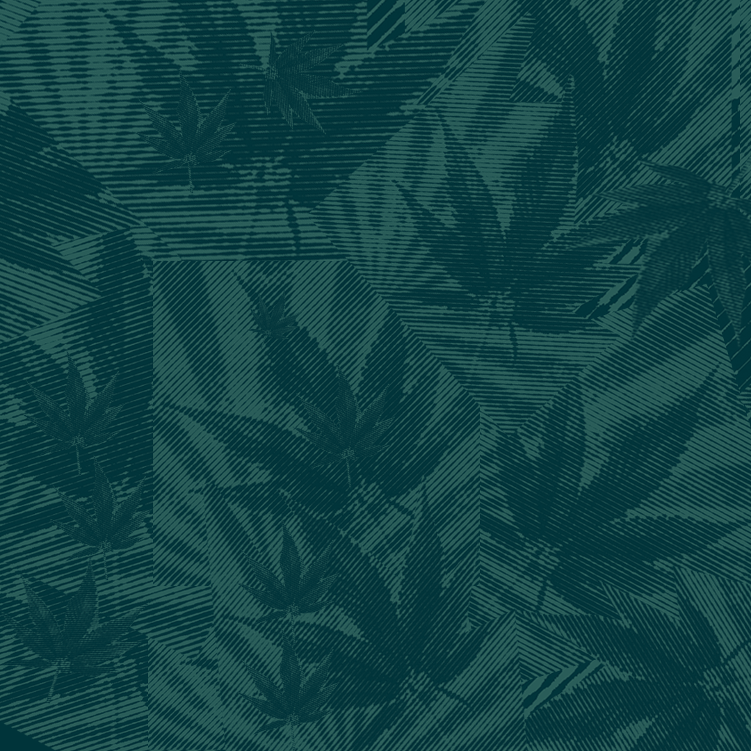 Collage of marijuana leaves and an abstract background. There is a dark green filter layer over all of the leaves.