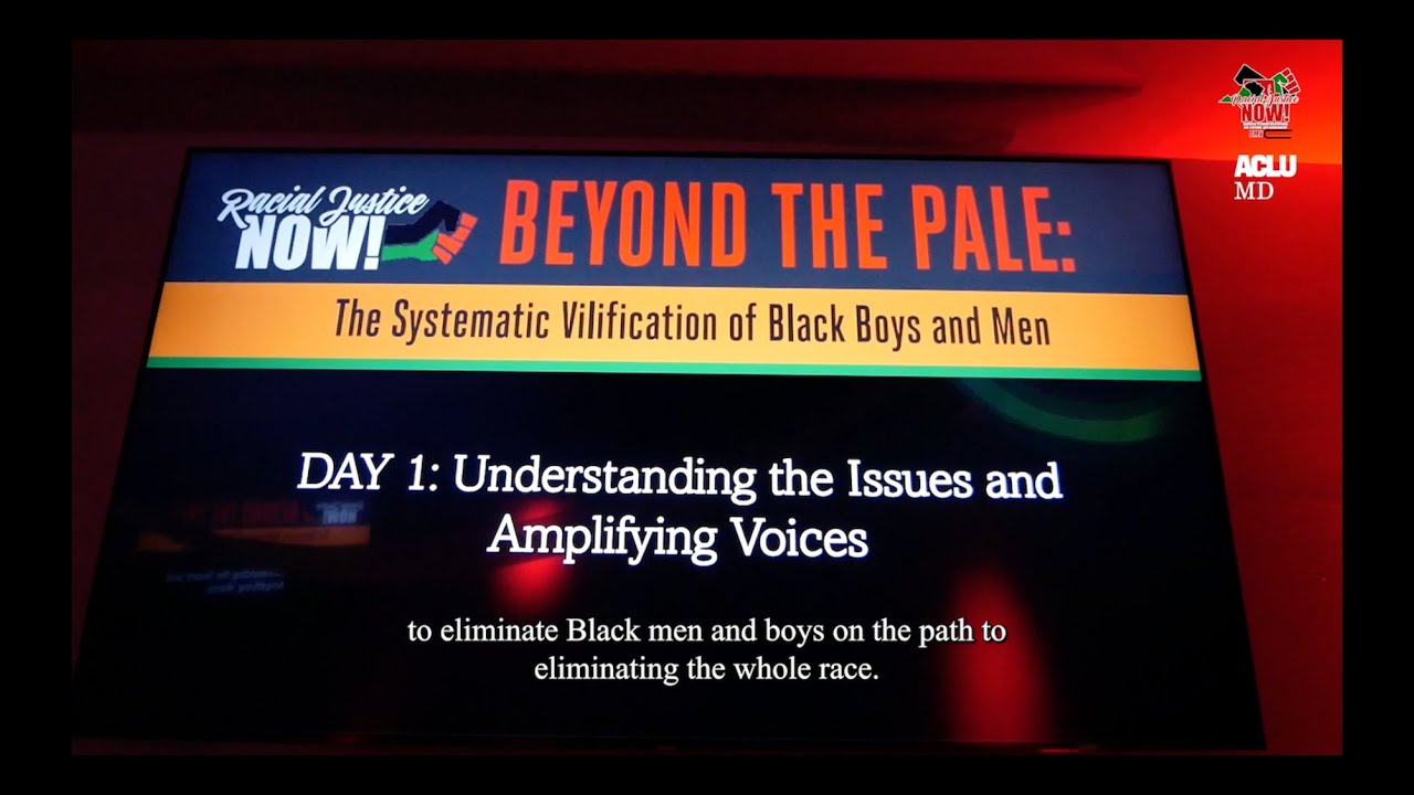 Beyond the Pale: The Systematic Vilification of Black Boys and Men