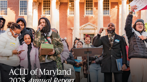 Students and advocates rally in front of state house