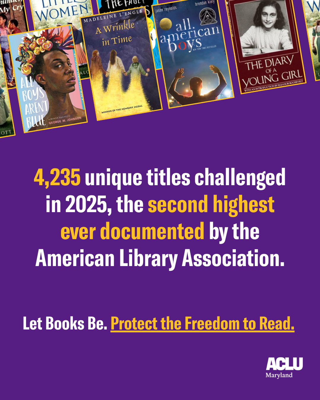 unique book titles challenged