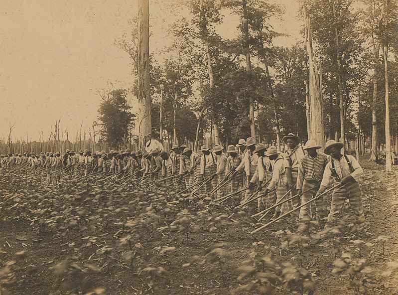 Parchman Prison labor done by people who are incarcerated in 1911.