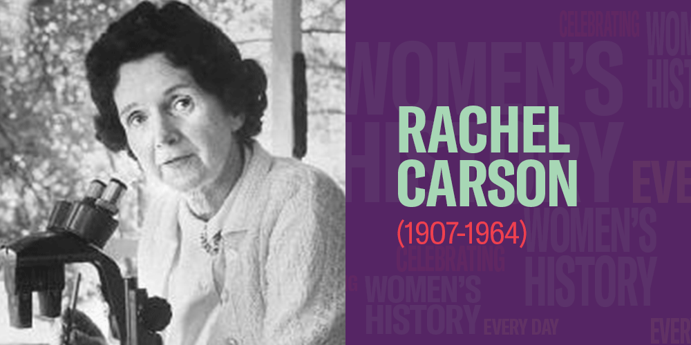 Rachel Carson (1907-1964) Women's History Month