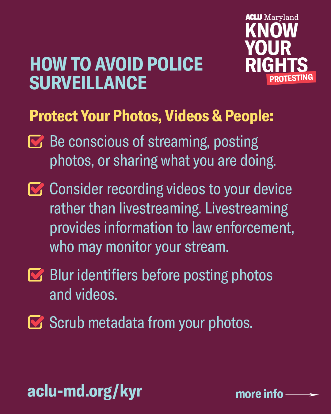 How to avoid police surveillance - protect your photos, videos, and people.