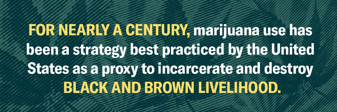 Background has marijuana leaves with a dark and lighter green filter on them, and text says, "For nearly a century, marijuana use has been a strategy best practiced by the United States as a proxy to incarcerate and destroy Black and Brown livelihood."