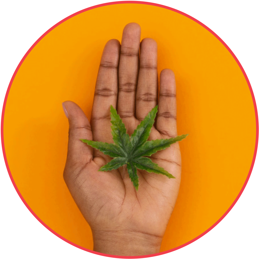 A cirucular image shows a person with brown skin's hand is visible holding a green marijuana leaf. The background is orange.