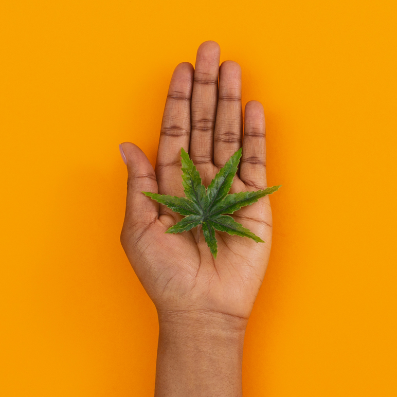 Yellow background with a Black or Brown person's hand holding a green marijuana leaf.