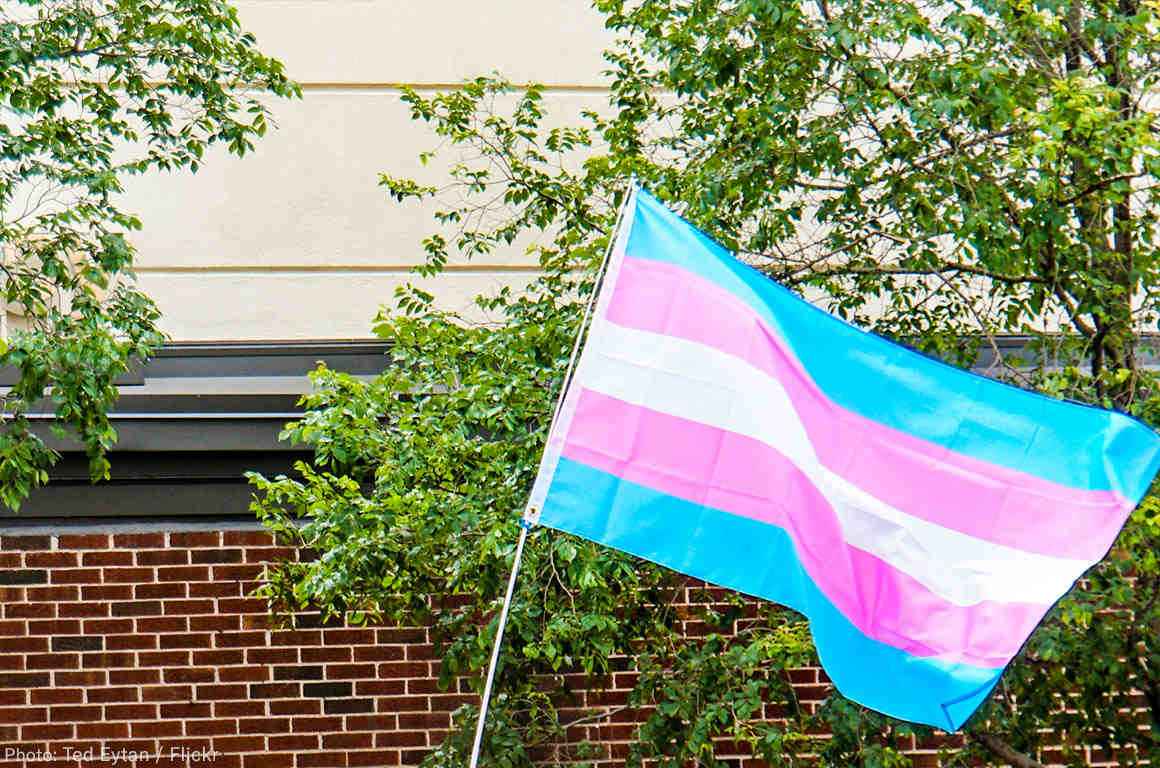 Transgender flag