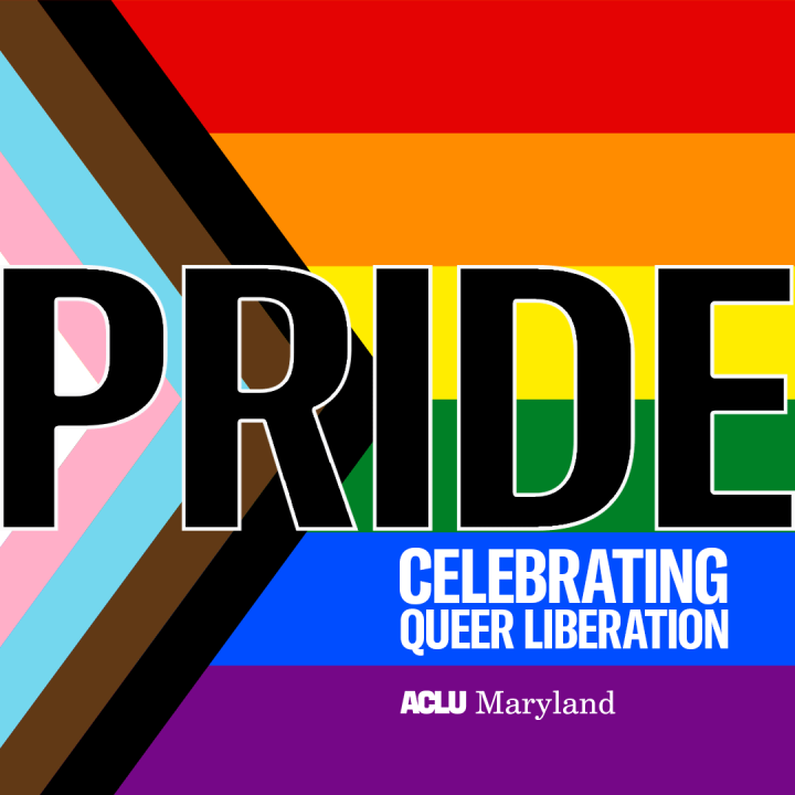 Pride. Celebrating Queer Liberation. The words are on top of the Progress Pride flag that has rainbow colors, white, pink, blue, brown, and black.
